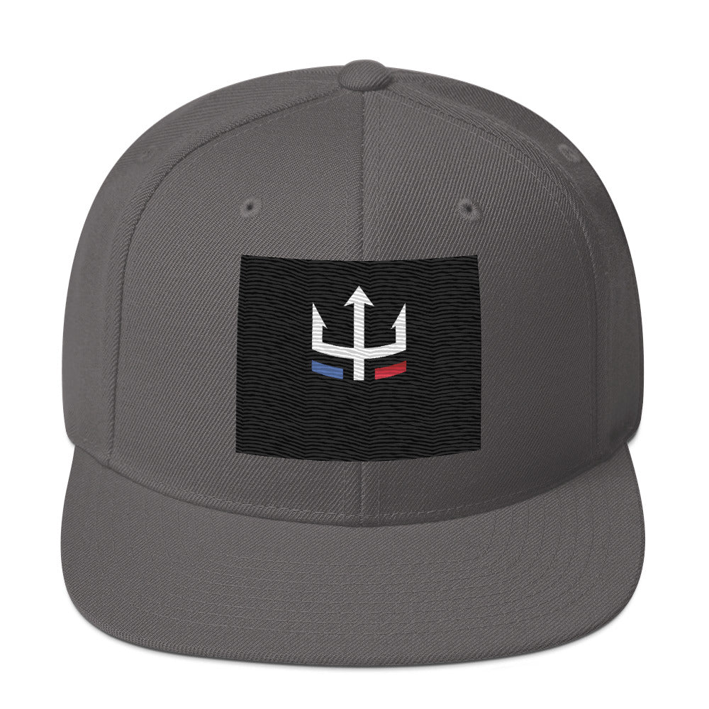 Roboat Snapback Hat