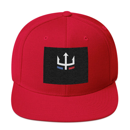 Roboat Snapback Hat